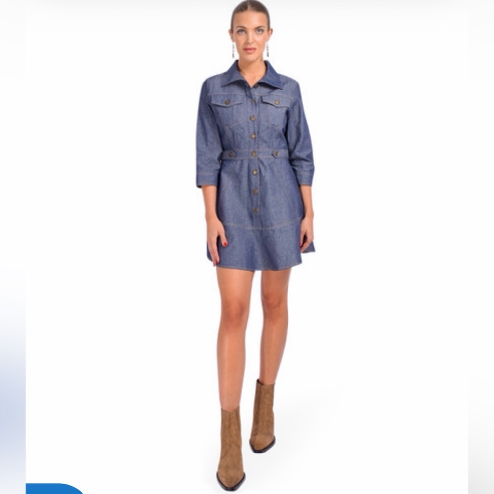 Gilner Farrar Livia Blue Denim Shirt Dress